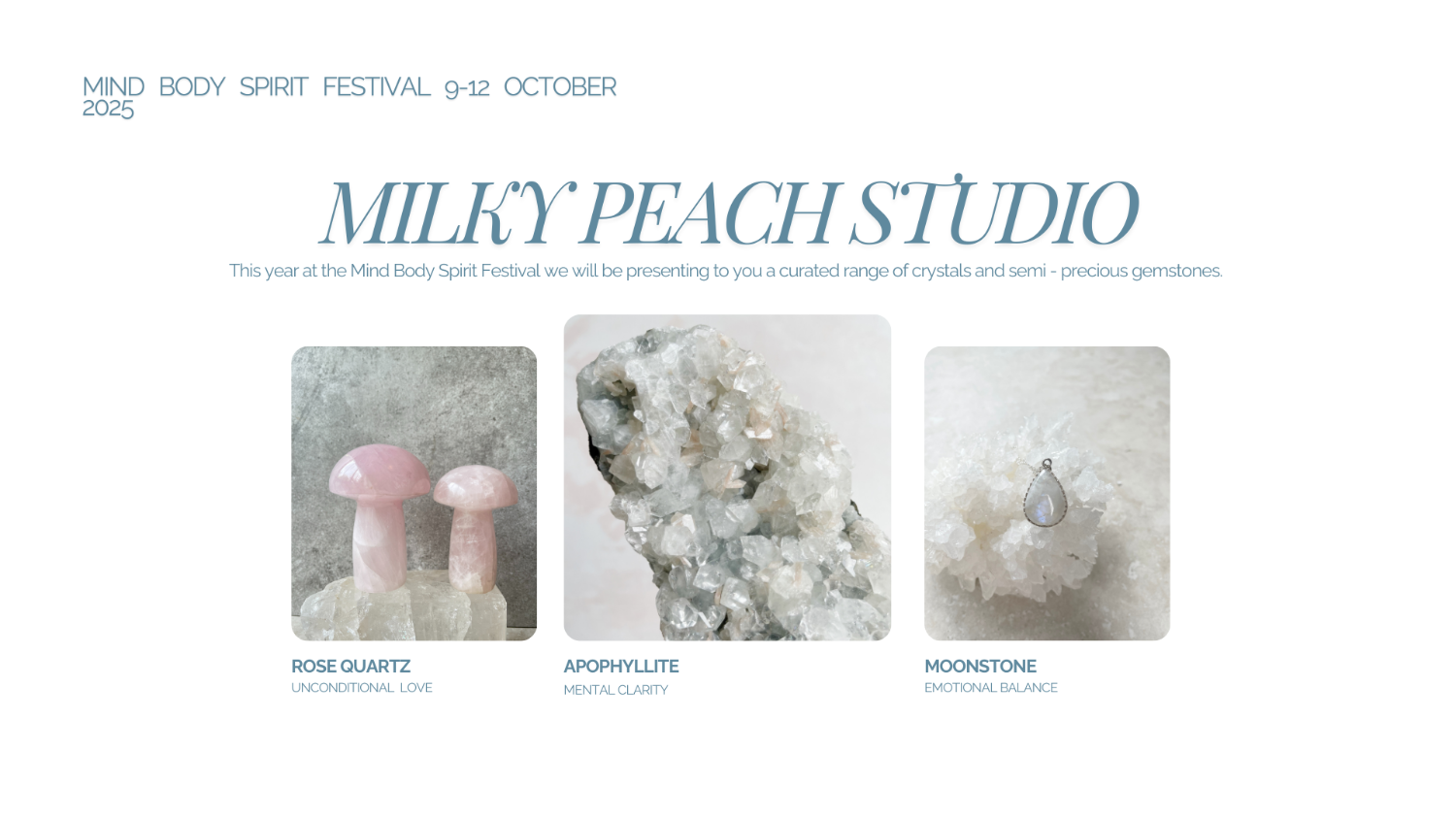 Exhibitor Image
