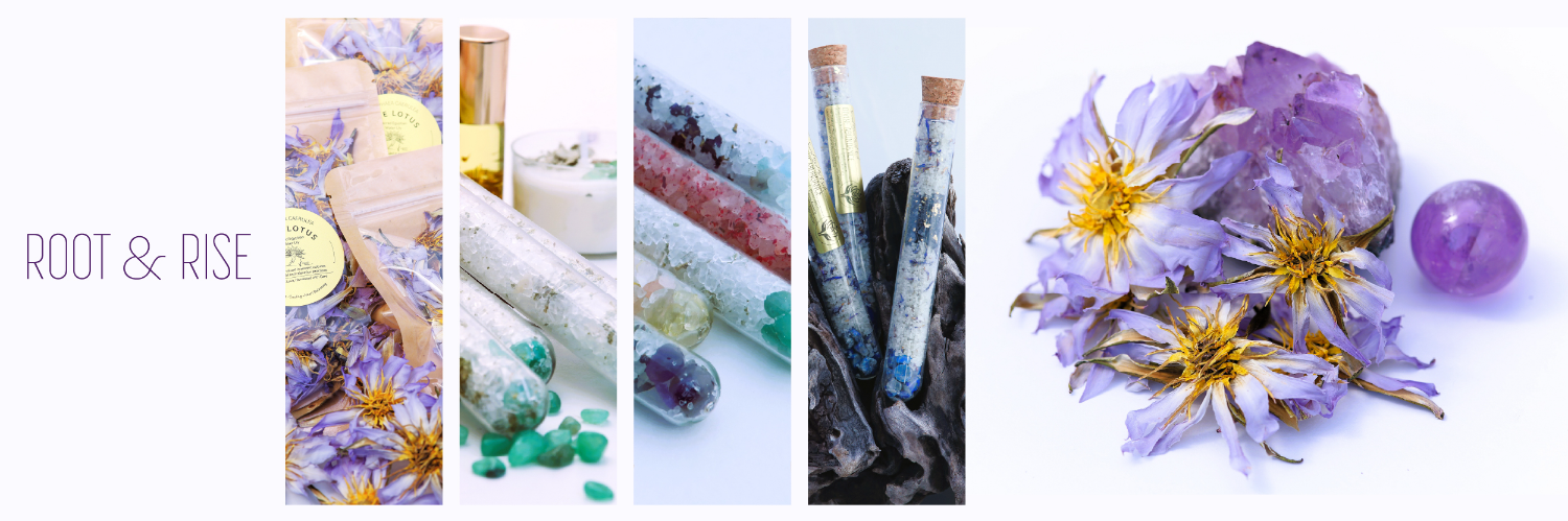 Exhibitor Image