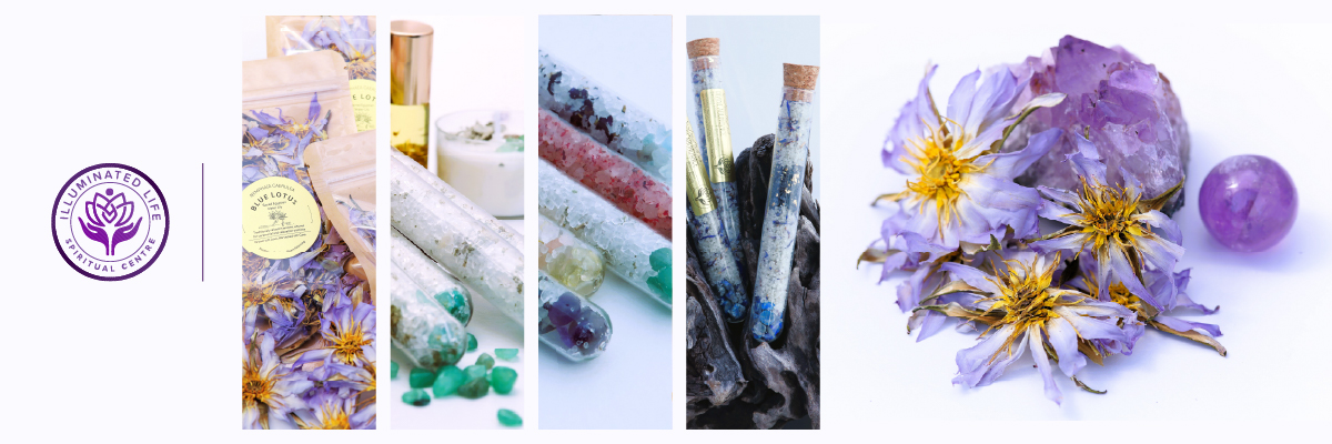 Exhibitor Image