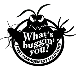 Exhibitor Image
